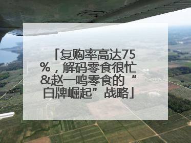 复购率高达75%，解码零食很忙&赵一鸣零食的“白牌崛起”战略