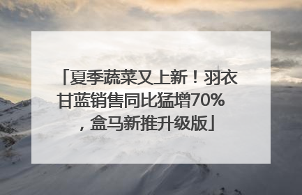 夏季蔬菜又上新！羽衣甘蓝销售同比猛增70%，盒马新推升级版