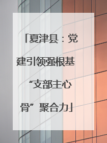 夏津县：党建引领强根基 “支部主心骨”聚合力