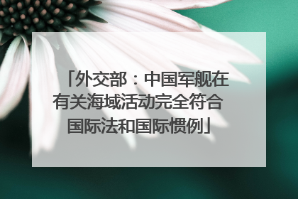 外交部：中国军舰在有关海域活动完全符合国际法和国际惯例