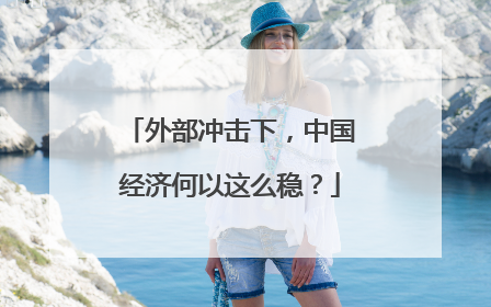 外部冲击下，中国经济何以这么稳？