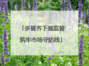 多管齐下强监管 筑牢市场守防线