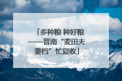 多种粮 种好粮——晋南“麦田夫妻档”忙夏收