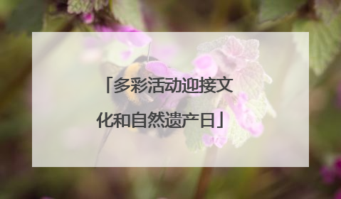 多彩活动迎接文化和自然遗产日