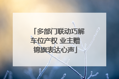 多部门联动巧解车位产权 业主赠锦旗表达心声
