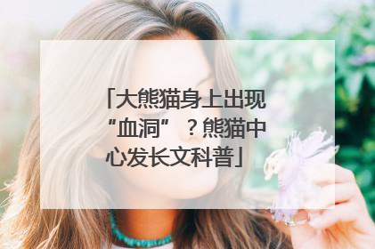 大熊猫身上出现“血洞”？熊猫中心发长文科普