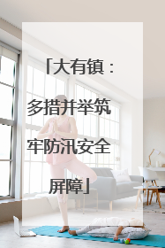 大有镇：多措并举筑牢防汛安全屏障