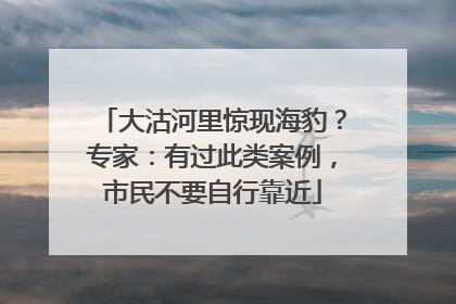 大沽河里惊现海豹？专家：有过此类案例，市民不要自行靠近