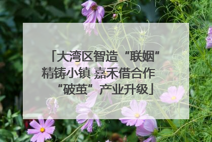 大湾区智造“联姻”精铸小镇 嘉禾借合作“破茧”产业升级