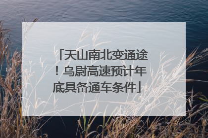 天山南北变通途！乌尉高速预计年底具备通车条件
