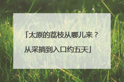 太原的荔枝从哪儿来？从采摘到入口约五天