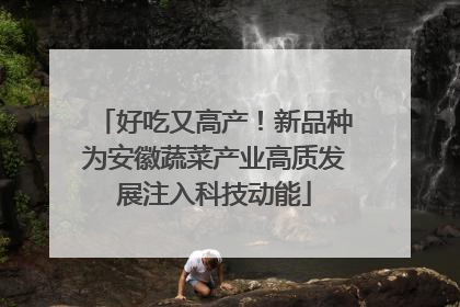 好吃又高产！新品种为安徽蔬菜产业高质发展注入科技动能