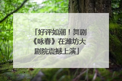 好评如潮！舞剧《咏春》在潍坊大剧院震撼上演