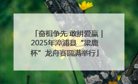 奋楫争先 敢拼爱赢｜2025年漳浦县“梁鹿杯”龙舟赛圆满举行
