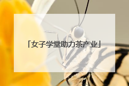 女子学堂助力茶产业