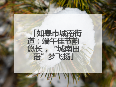 如皋市城南街道：端午佳节韵悠长，“城南田语”梦飞扬