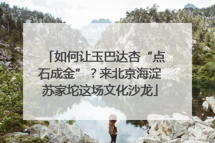如何让玉巴达杏“点石成金”？来北京海淀苏家坨这场文化沙龙