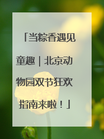 当粽香遇见童趣｜北京动物园双节狂欢指南来啦！