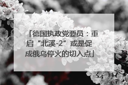 德国执政党要员：重启“北溪-2”或是促成俄乌停火的切入点