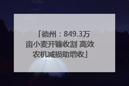 德州：849.3万亩小麦开镰收割 高效农机减损助增收