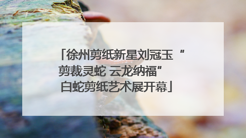 徐州剪纸新星刘冠玉“剪裁灵蛇 云龙纳福” 白蛇剪纸艺术展开幕