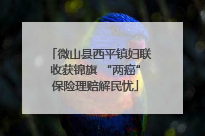 微山县西平镇妇联收获锦旗 “两癌”保险理赔解民忧