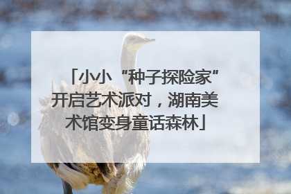 小小“种子探险家”开启艺术派对，湖南美术馆变身童话森林