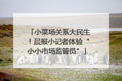 小菜场关系大民生！晨报小记者体验“小小市场监管员”