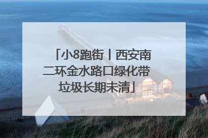 小8跑街丨西安南二环金水路口绿化带垃圾长期未清