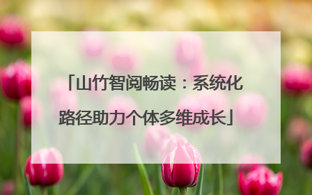 山竹智阅畅读：系统化路径助力个体多维成长
