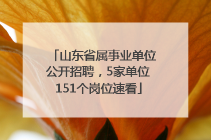山东省属事业单位公开招聘，5家单位151个岗位速看