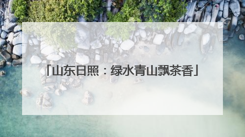 山东日照：绿水青山飘茶香