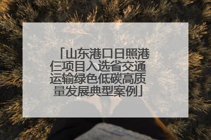 山东港口日照港仨项目入选省交通运输绿色低碳高质量发展典型案例