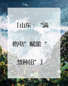 山东：“满格电”赋能“慧种田”