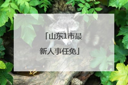 山东1市最新人事任免