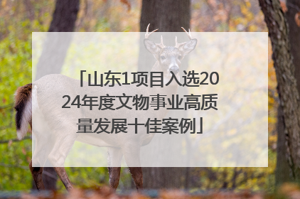 山东1项目入选2024年度文物事业高质量发展十佳案例