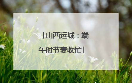 山西运城：端午时节麦收忙