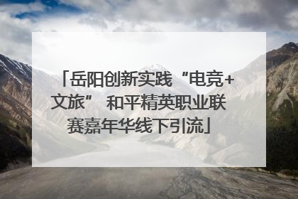 岳阳创新实践“电竞+文旅” 和平精英职业联赛嘉年华线下引流