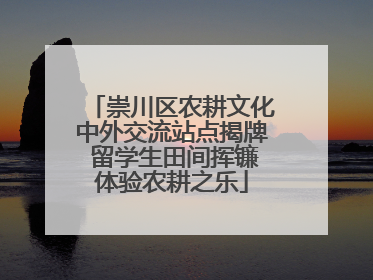 崇川区农耕文化中外交流站点揭牌 留学生田间挥镰体验农耕之乐