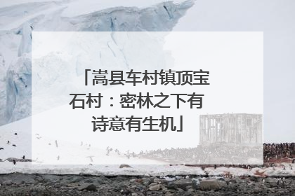 嵩县车村镇顶宝石村：密林之下有诗意有生机