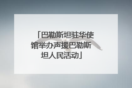 巴勒斯坦驻华使馆举办声援巴勒斯坦人民活动