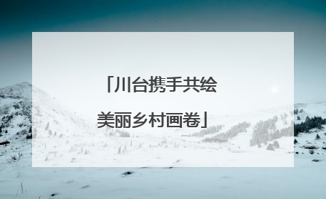 川台携手共绘美丽乡村画卷