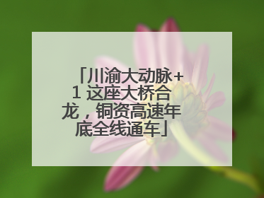 川渝大动脉+1 这座大桥合龙，铜资高速年底全线通车