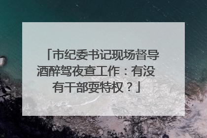 市纪委书记现场督导酒醉驾夜查工作：有没有干部耍特权？