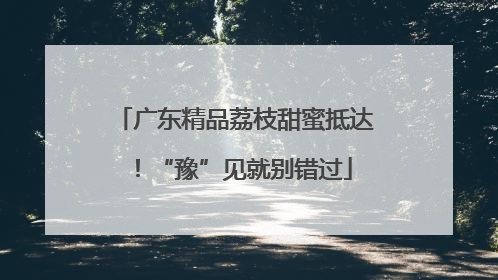 广东精品荔枝甜蜜抵达！“豫”见就别错过