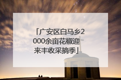 广安区白马乡2000余亩花椒迎来丰收采摘季