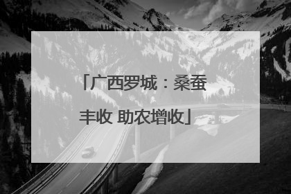 广西罗城：桑蚕丰收 助农增收