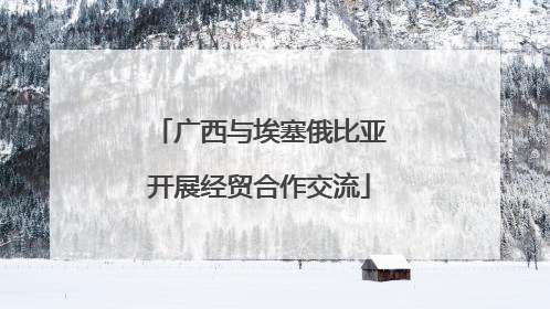 广西与埃塞俄比亚开展经贸合作交流