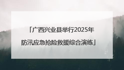 广西兴业县举行2025年防汛应急抢险救援综合演练