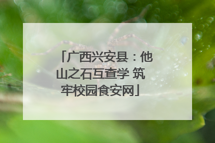 广西兴安县：他山之石互查学 筑牢校园食安网